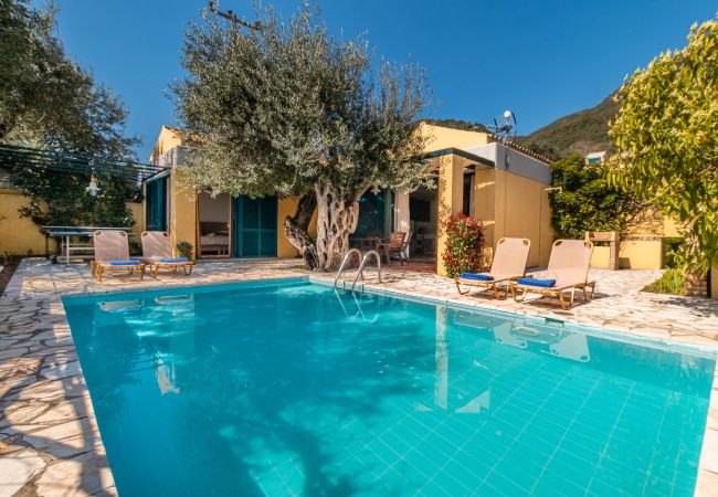 Villa in Barbati - Barbati Beach - Villa Ithika