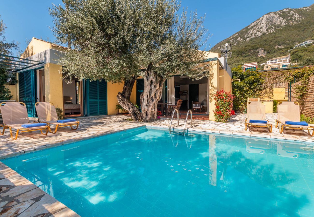 Villa in Barbati - Barbati Beach - Villa Ithika