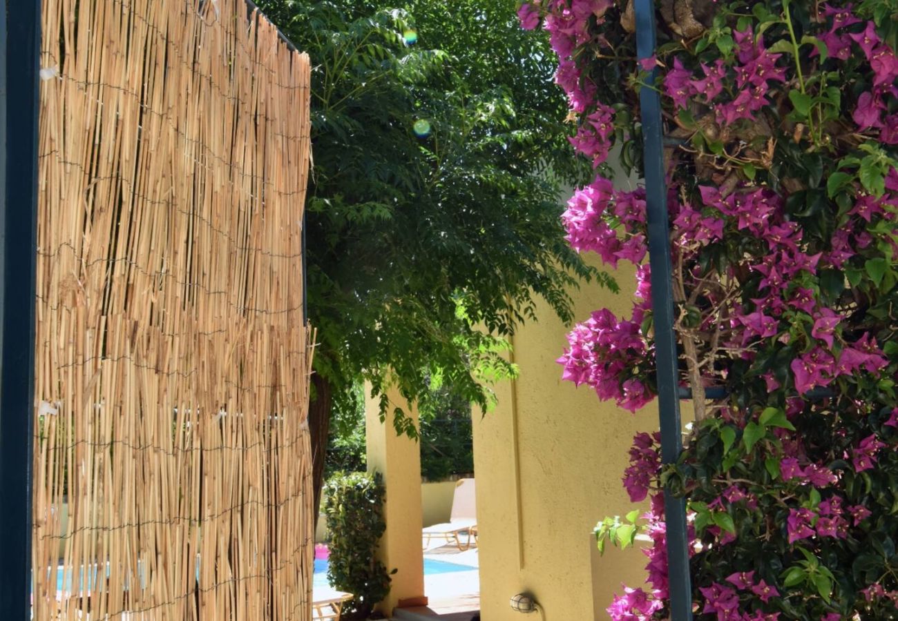 Villa in Barbati - Barbati Beach - Villa Ithika