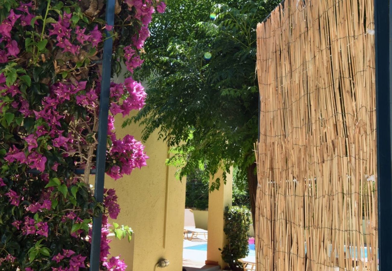 Villa in Barbati - Barbati Beach - Villa Zante